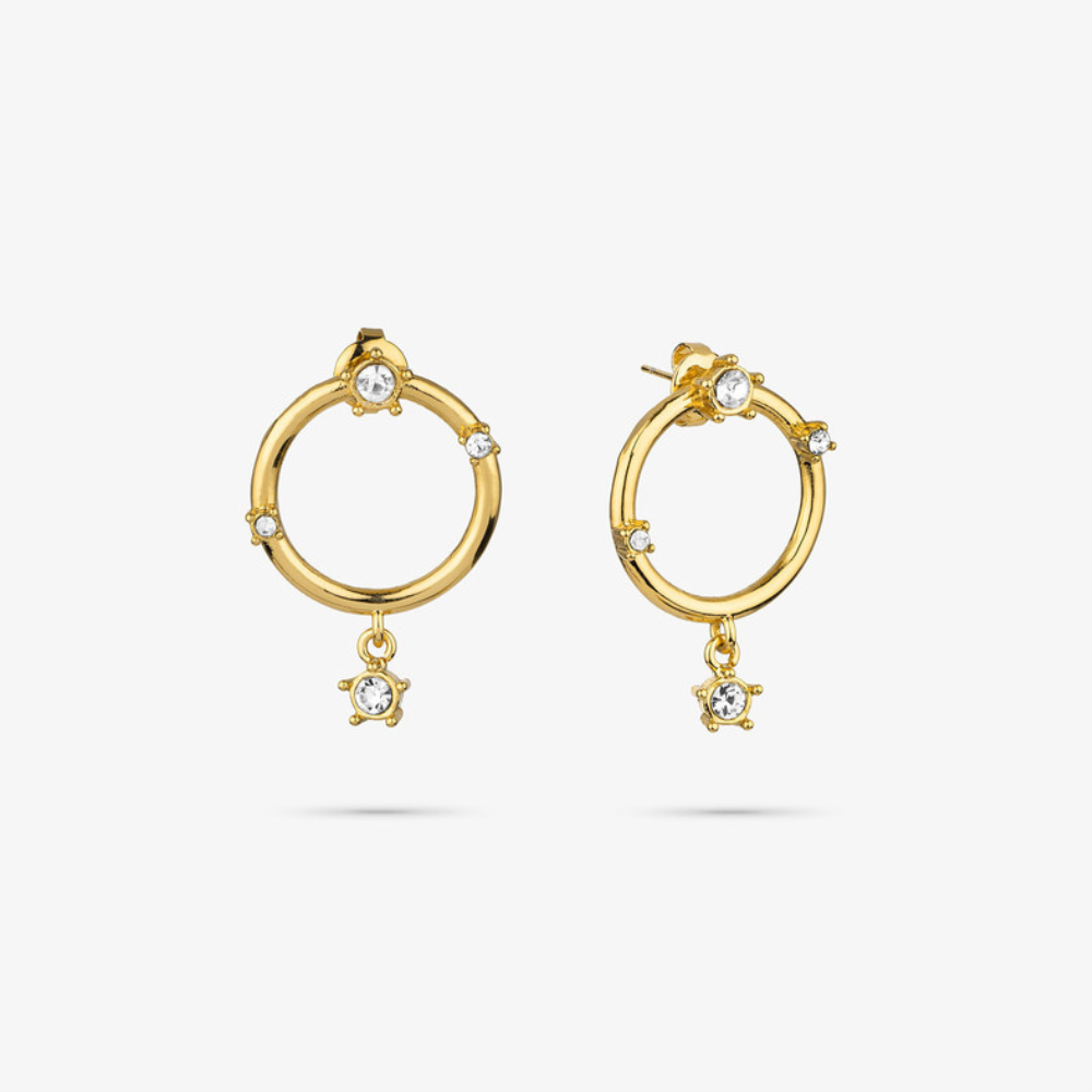 BRINCOS AÇO RADIANT