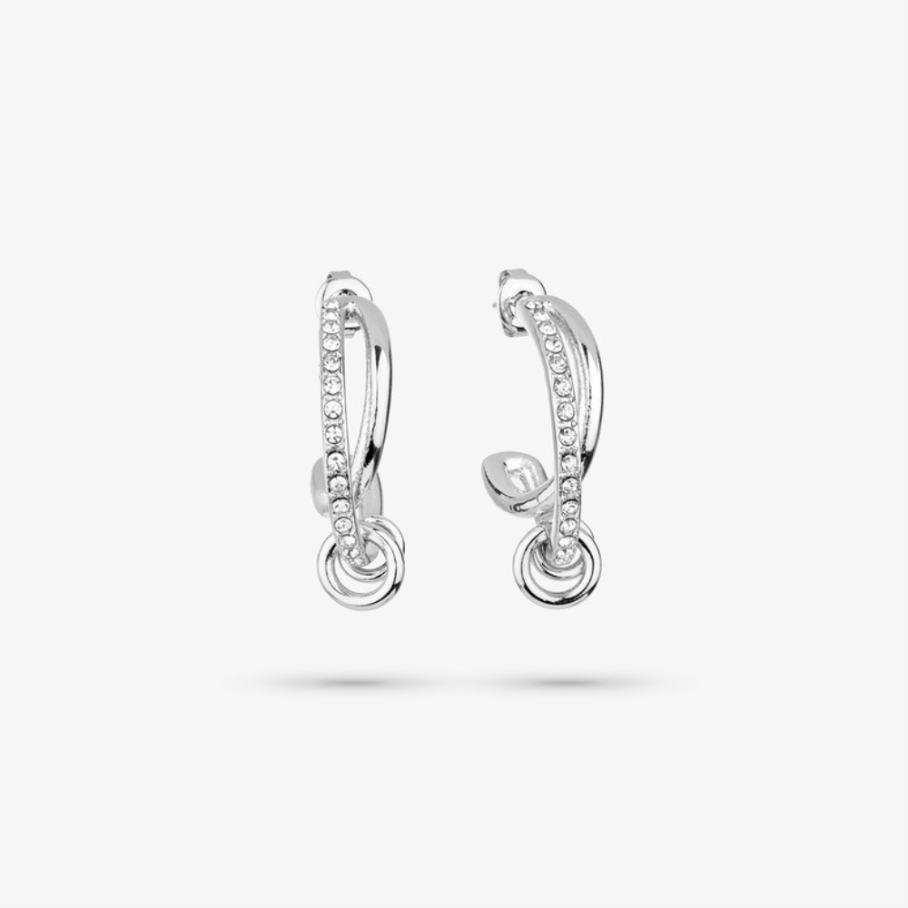 BRINCOS AÇO RADIANT