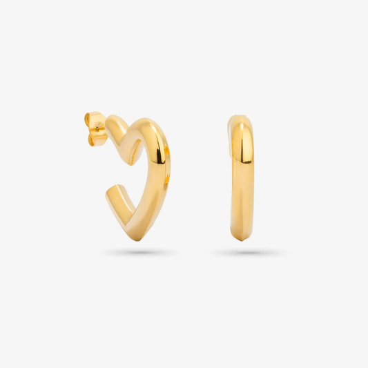 BRINCOS AÇO RADIANT